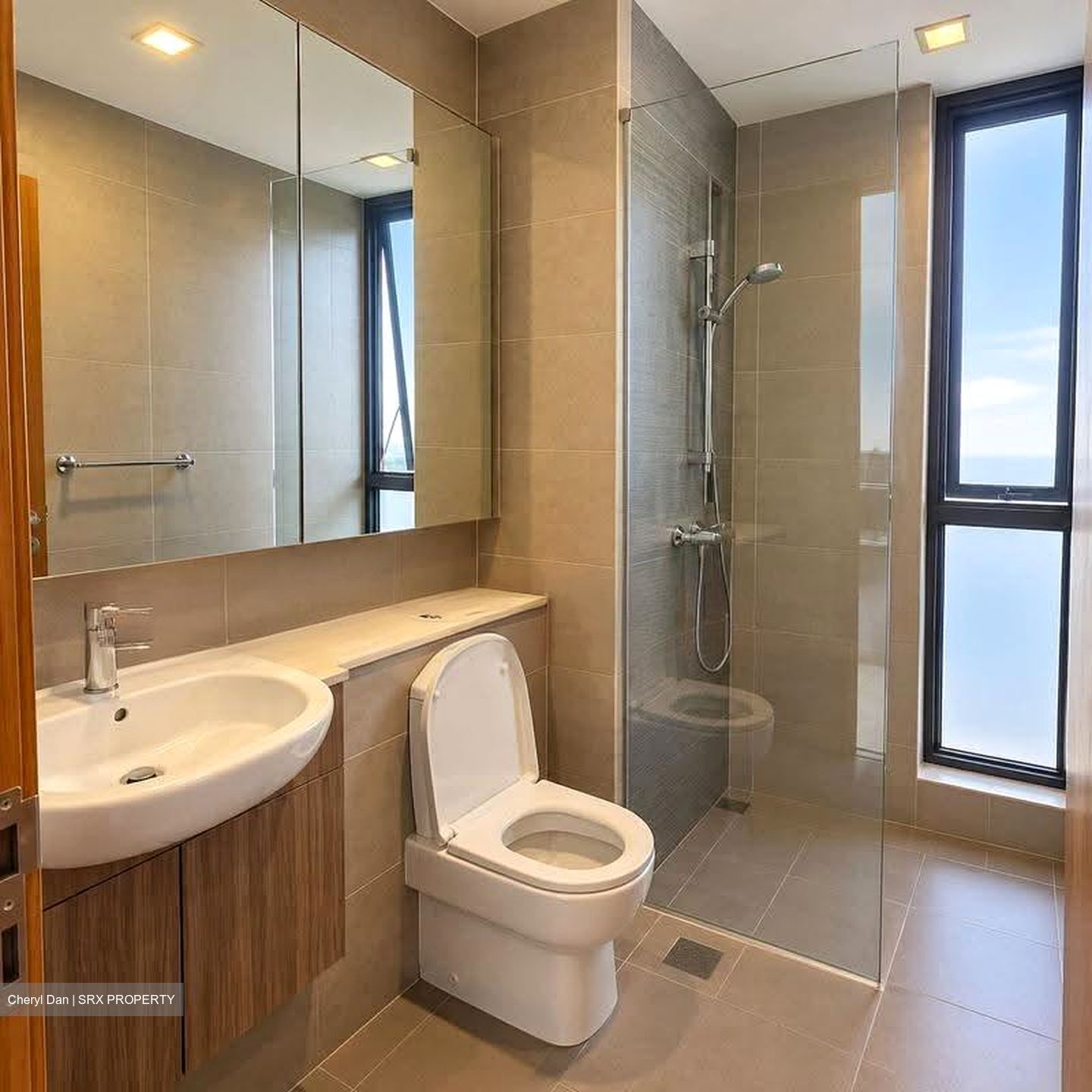 Waterbank at Dakota (D14), Condominium #632472931
